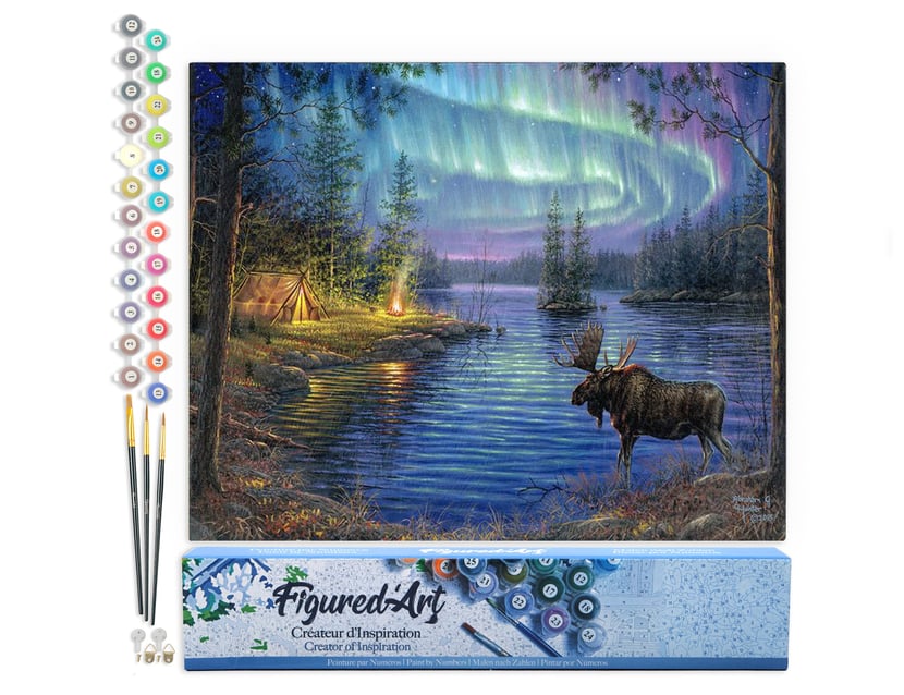 Peinture par Numéro Figured'Art - Elan et aurore boréale - Kit de Loisir Créatif DIY Numéro d'Art Complet - 40x50cm sans châssis en bois