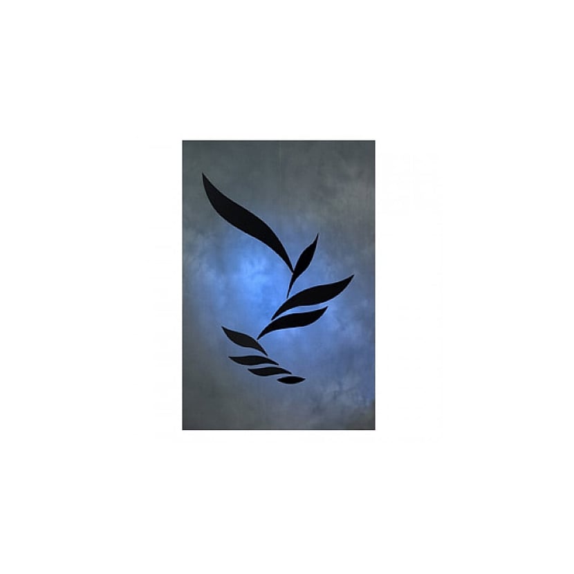 media/mkp/8af2c603ad394cac9c4dab71017bd9bb