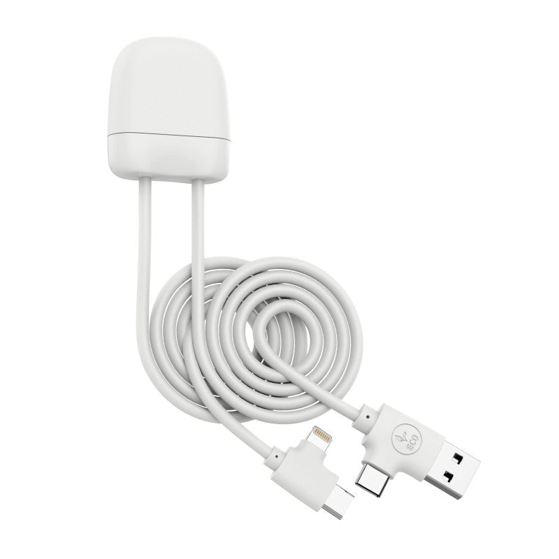 media/mkp/96624ca53ec840fba35a341f79f9ea14