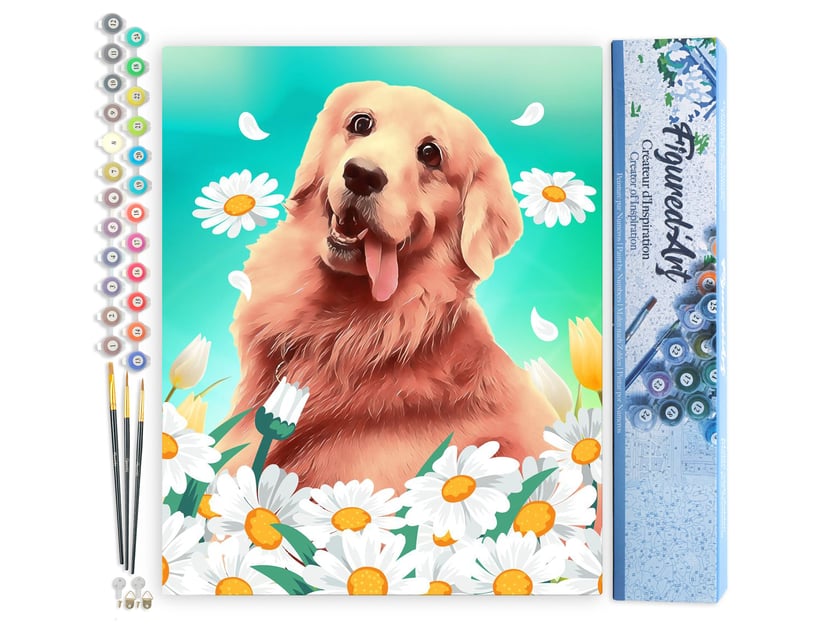 Peinture par Numéro Figured'Art - Golden Retriever - Kit de Loisir Créatif DIY Numéro d'Art Complet - 40x50cm sans châssis en bois