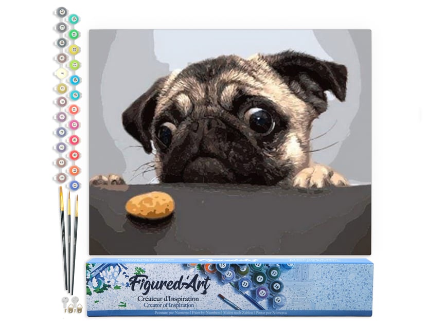 Peinture par Numéro Figured'Art - Chien Carlin Gourmand - Kit de Loisir Créatif DIY Numéro d'Art Complet - 40x50cm sans châssis en bois