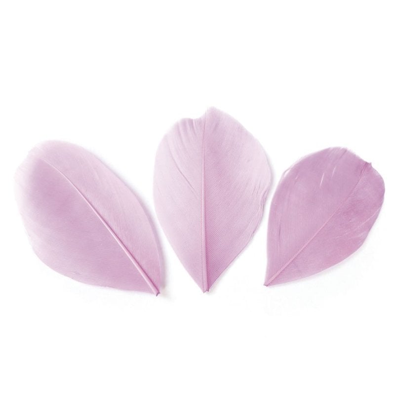 media/mkp/a695c724b557486c8856d4504eab5e69