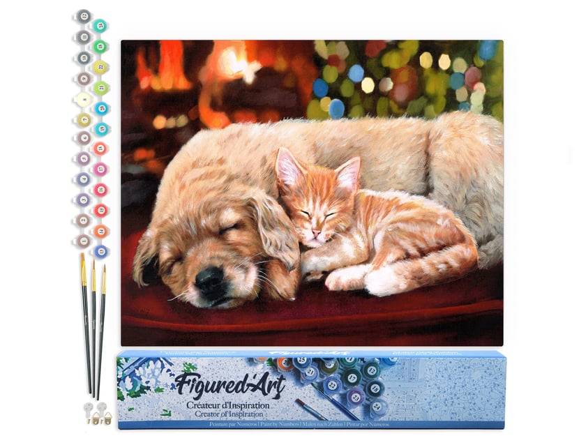 Peinture par Numéro Figured'Art - Sieste entre amis - Kit de Loisir Créatif DIY Numéro d'Art Complet - 40x50cm sans châssis en bois