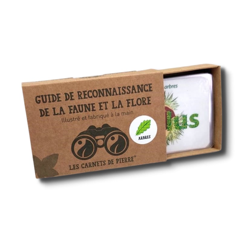 media/mkp/abeac248087a4b13a8de54f03554c71c