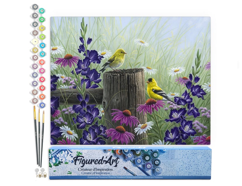 Peinture par Numéro Figured'Art - Couple de chardonneret - Kit de Loisir Créatif DIY Numéro d'Art Complet - 40x50cm sans châssis en bois