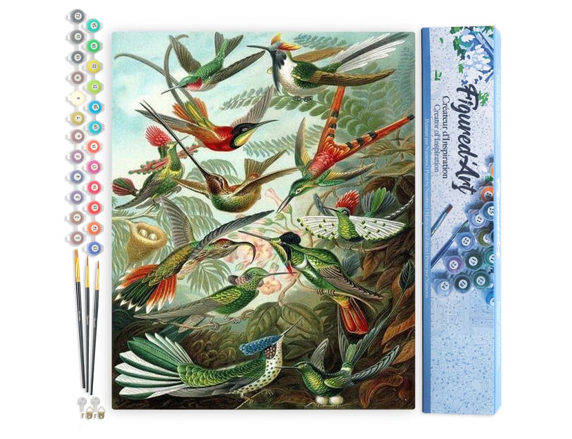 Peinture par Numéro Figured'Art - Tous les oiseaux - Kit de Loisir Créatif DIY Numéro d'Art Complet - 40x50cm sans châssis en bois