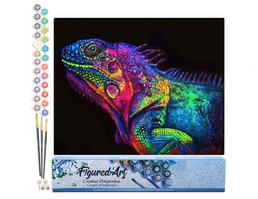 Peinture par Numéro Figured'Art - Caméléon coloré - Kit de Loisir Créatif DIY Numéro d'Art Complet - 40x50cm sans châssis en bois