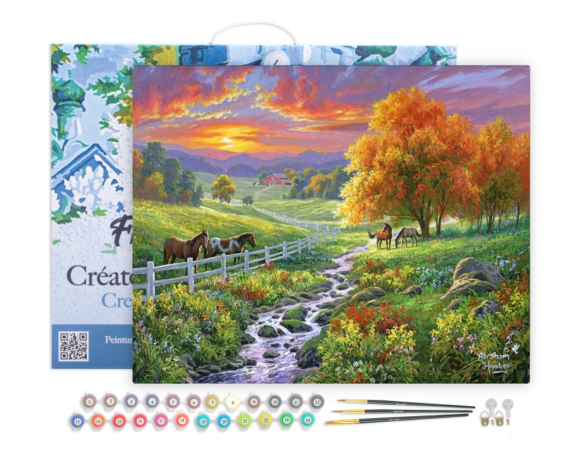Peinture par Numéro Figured'Art avec Cadre - Prairie ensoleillée - Kit de Loisir Créatif DIY Numéro d'Art Complet - 40x50cm toile tendue sur châssis