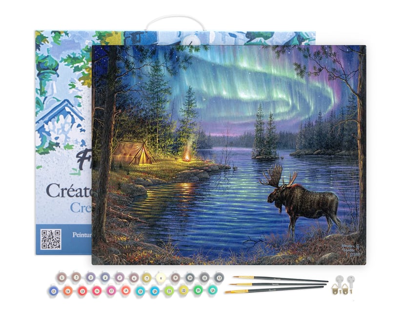 Peinture par Numéro Figured'Art avec Cadre - Elan et aurore boréale - Kit de Loisir Créatif DIY Numéro d'Art - 40x50cm toile tendue sur châssis