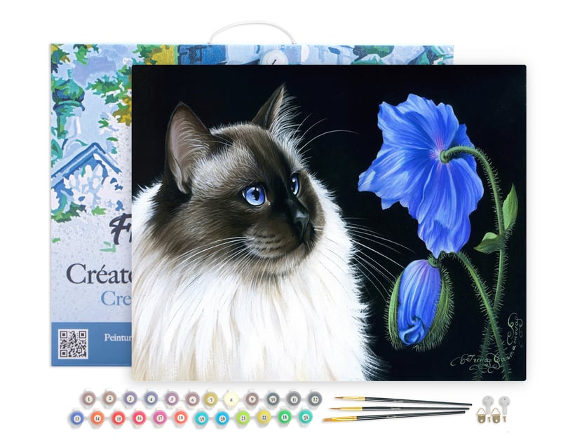 Peinture par Numéro Figured'Art avec Cadre - Face à face floral - Kit de Loisir Créatif DIY Numéro d'Art Complet - 40x50cm toile tendue sur châssis