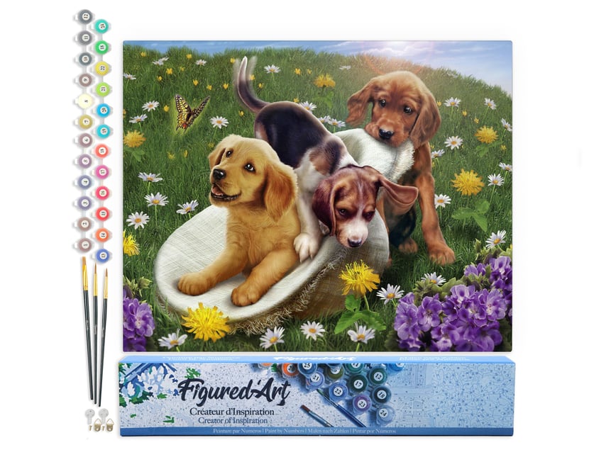 Peinture par Numéro Figured'Art - Jeux entre amis - Kit de Loisir Créatif DIY Numéro d'Art Complet - 40x50cm sans châssis en bois