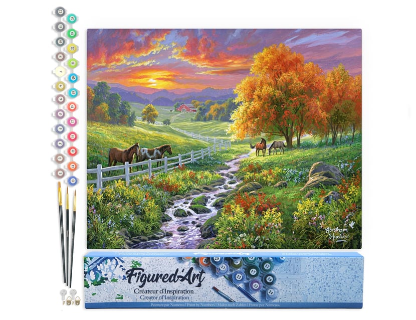 Peinture par Numéro Figured'Art - Prairie ensoleillée - Kit de Loisir Créatif DIY Numéro d'Art Complet - 40x50cm sans châssis en bois