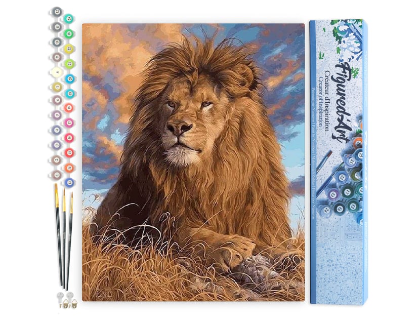 Peinture par Numéro Figured'Art - Le Repos du Lion - Kit de Loisir Créatif DIY Numéro d'Art Complet - 40x50cm sans châssis en bois