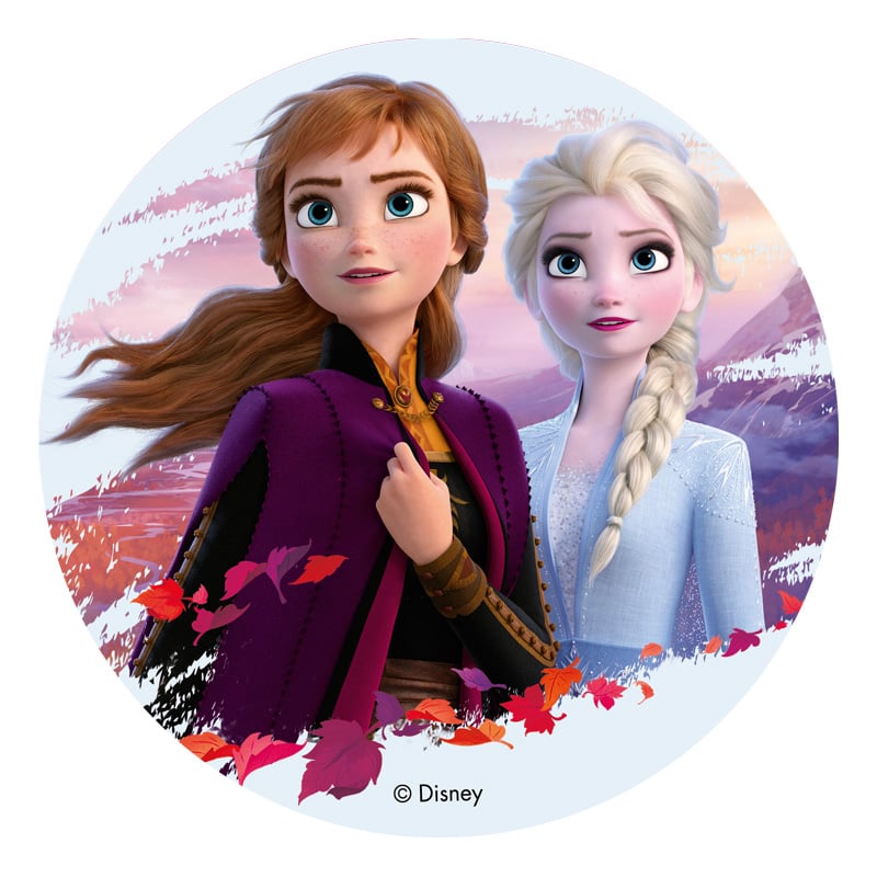 Porte-monnaie Fille Reine Des Neiges Elsa – Range écouteurs Disney – Synthétique Multicolore