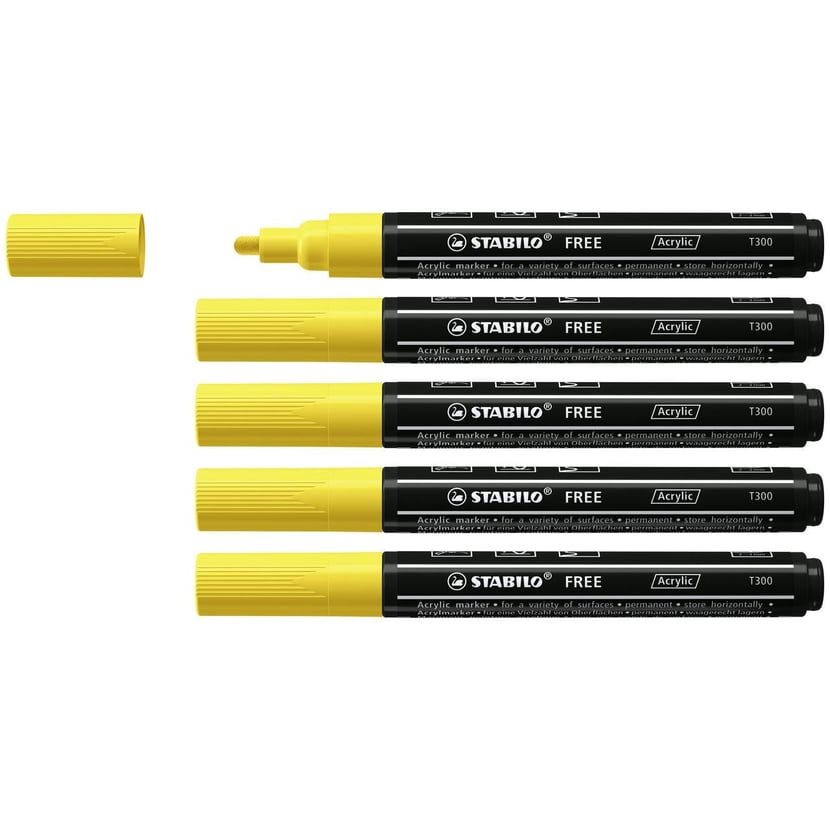 media/mkp/cfd2b29a407646cd8056973ecaf00c76