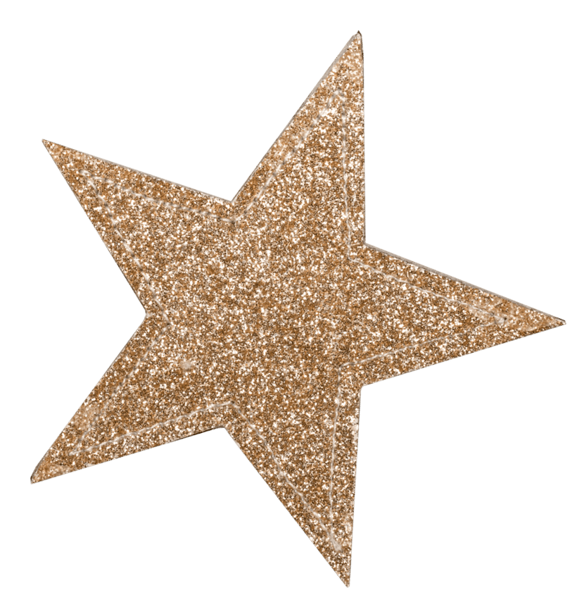 Étoile Dorée pour trousse