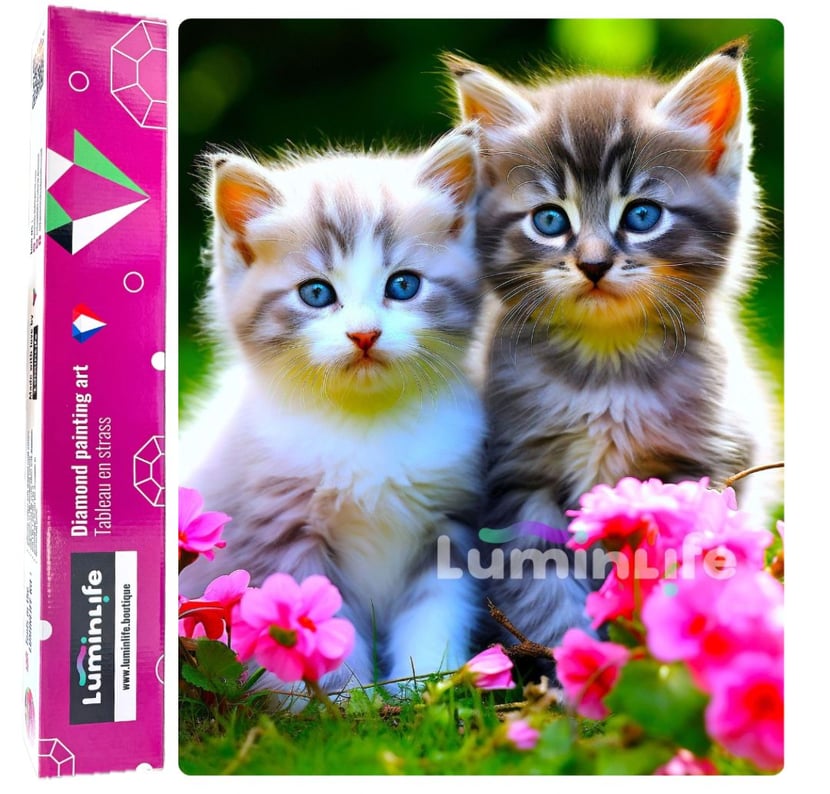 media/mkp/d861bcd62e25436ca84476a5bf0d7929