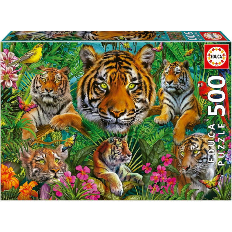 media/mkp/dbed1b5c992d42a48309df9009c8073c
