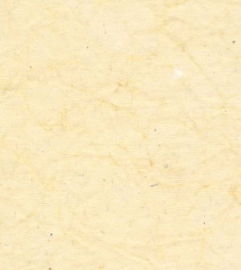 media/mkp/e13c0c75d5894d9da6b8ee385d48f206