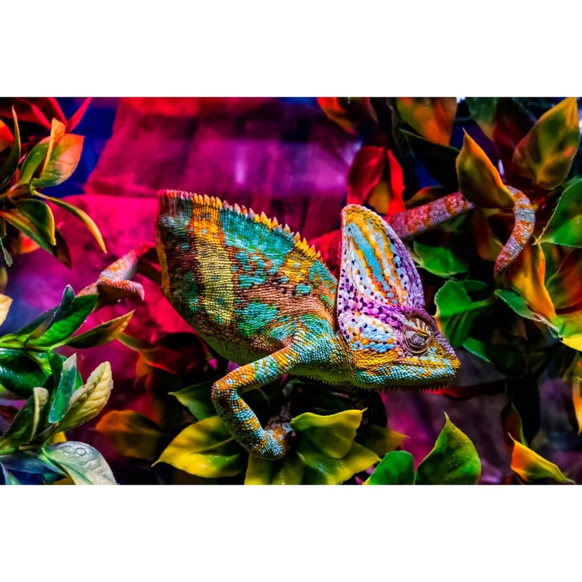 media/mkp/e3a8bfe6cab24ae5978eb072dc055555_37c7c