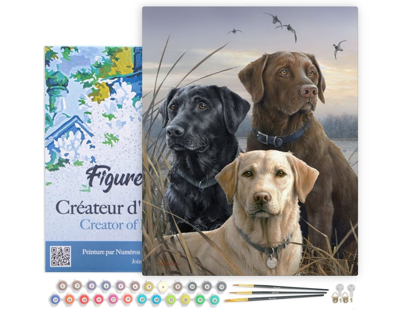 Peinture par Numéro Figured'Art avec Cadre - Trio de labrador - Kit de Loisir Créatif DIY Numéro d'Art Complet - 40x50cm toile tendue sur châssis