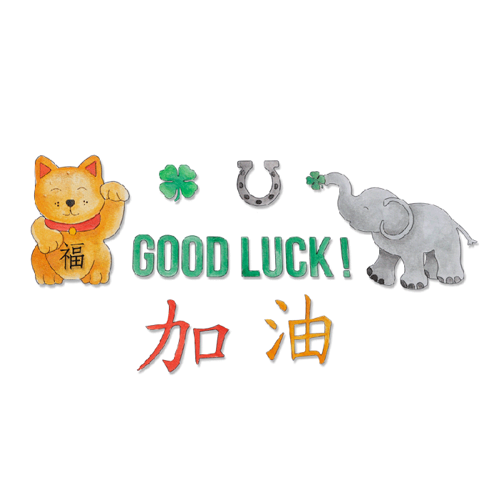 media/mkp/ec91345ee896400dab3c0fa1cd64c68e