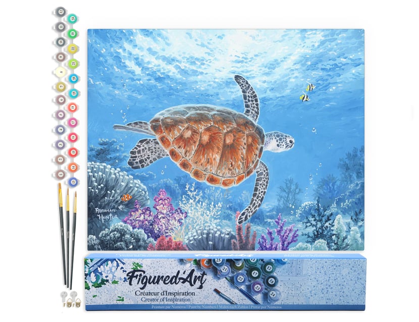 Peinture par Numéro Figured'Art - Tortue en ballade - Kit de Loisir Créatif DIY Numéro d'Art Complet - 40x50cm sans châssis en bois