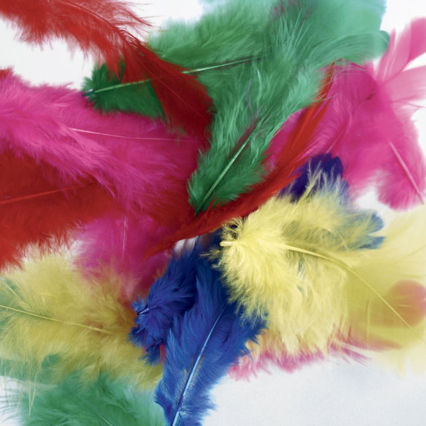 Assortiment de plumes, 66 pces