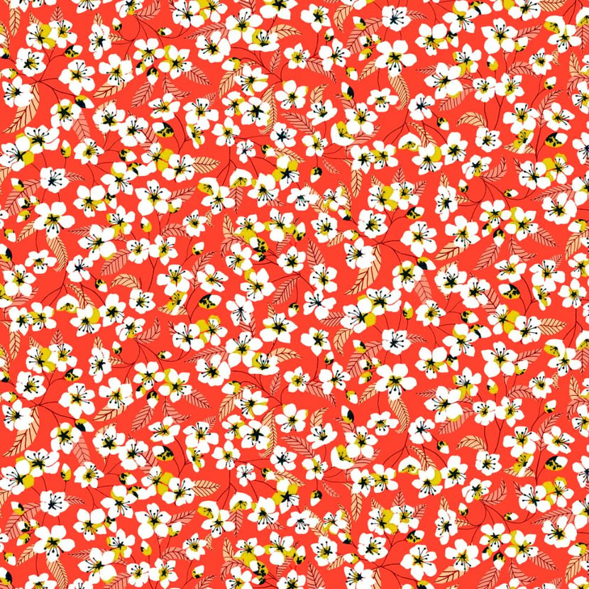 media/mkp/f22c7f78b05a44528449f8fc30f5c0f6