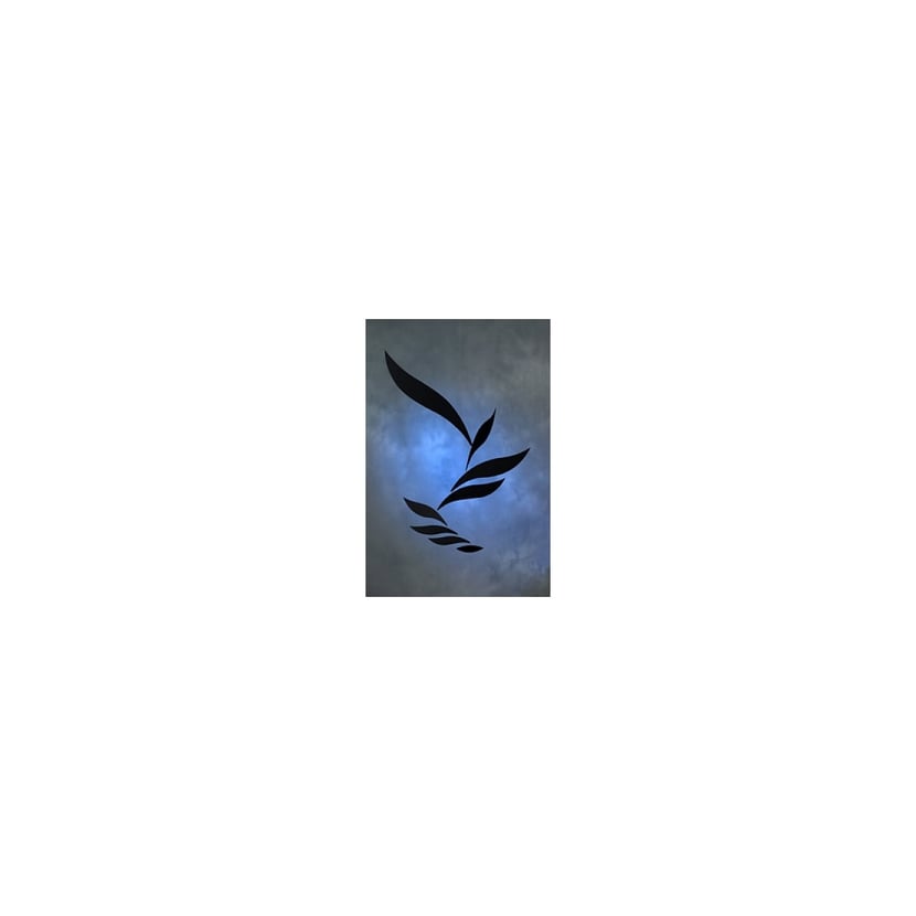 media/mkp/f66ef0893b3942c3861bbb6df2580b5b