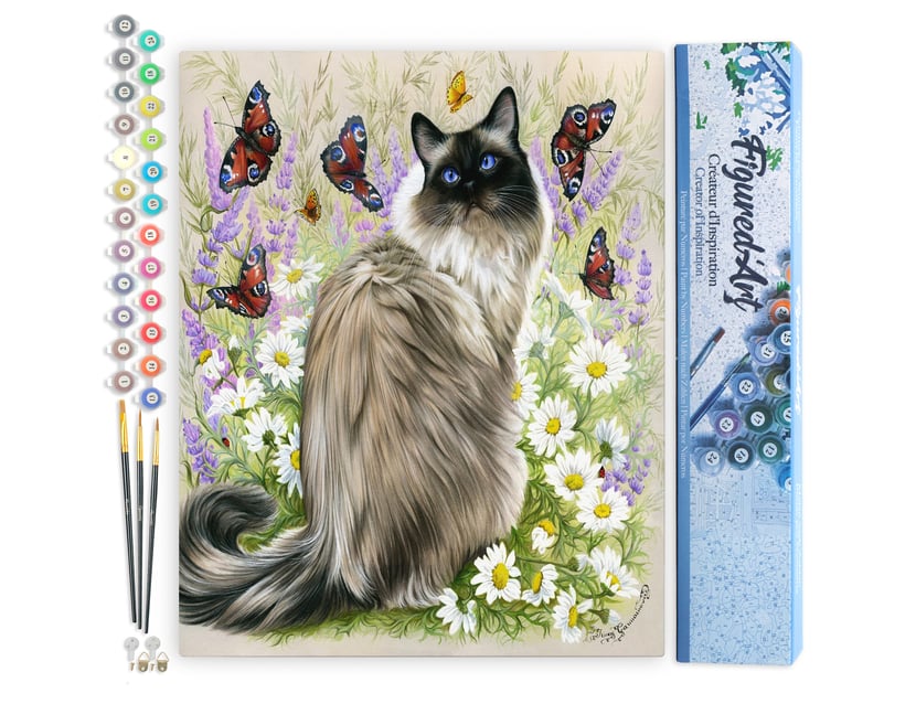 Peinture par Numéro Figured'Art - Découverte des papillons - Kit de Loisir Créatif DIY Numéro d'Art Complet - 40x50cm sans châssis en bois