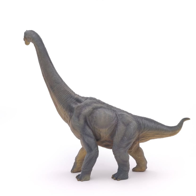 Papo - Figurines A Collectionner - Dinosaure - T…
