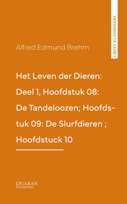 media/pim/0_435fb53a-e222-4bfa-8a7c-55dadf0a1141.jpeg