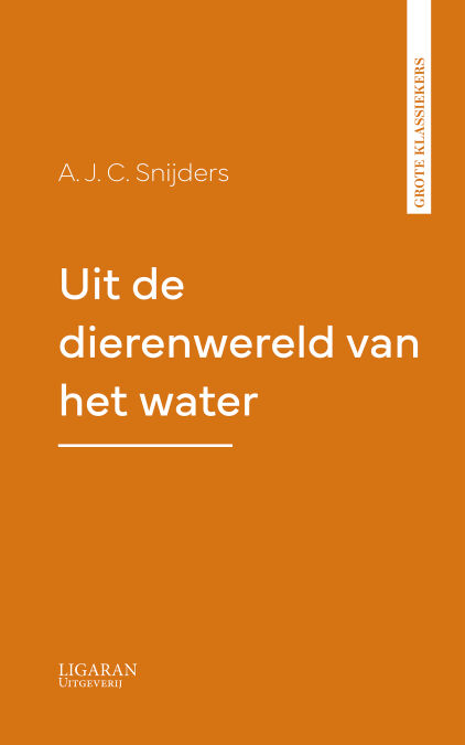 media/pim/0_66bb2723-3916-40e5-9f73-42e7099af25b.jpeg