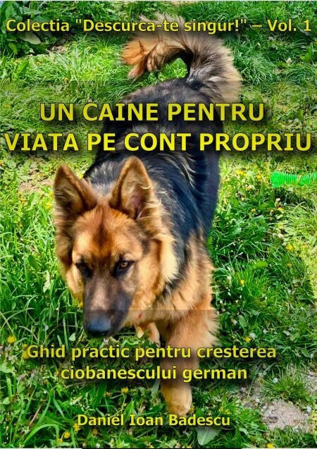 media/pim/0_73021437-0bf4-43f4-9218-346245cf273f.jpeg