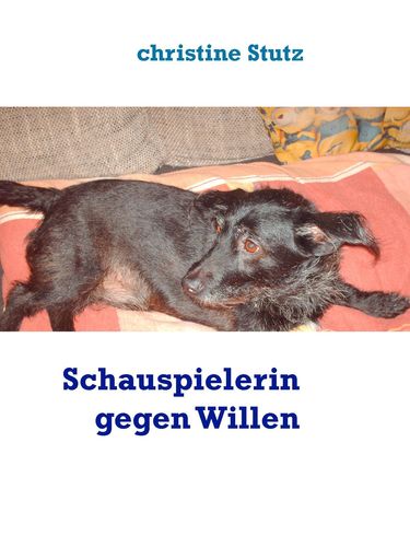 media/pim/0_metadata-image-24182242.jpeg