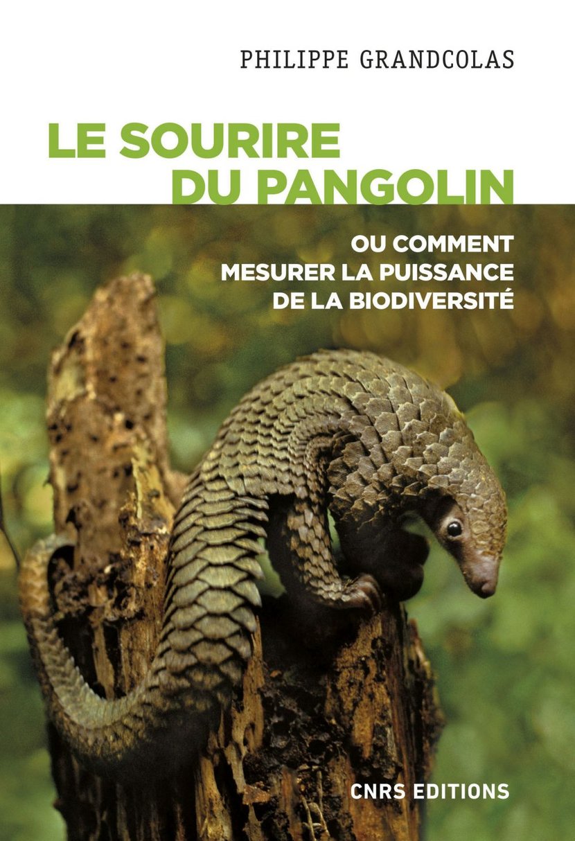 media/pim/0_metadata-image-53332956.jpeg