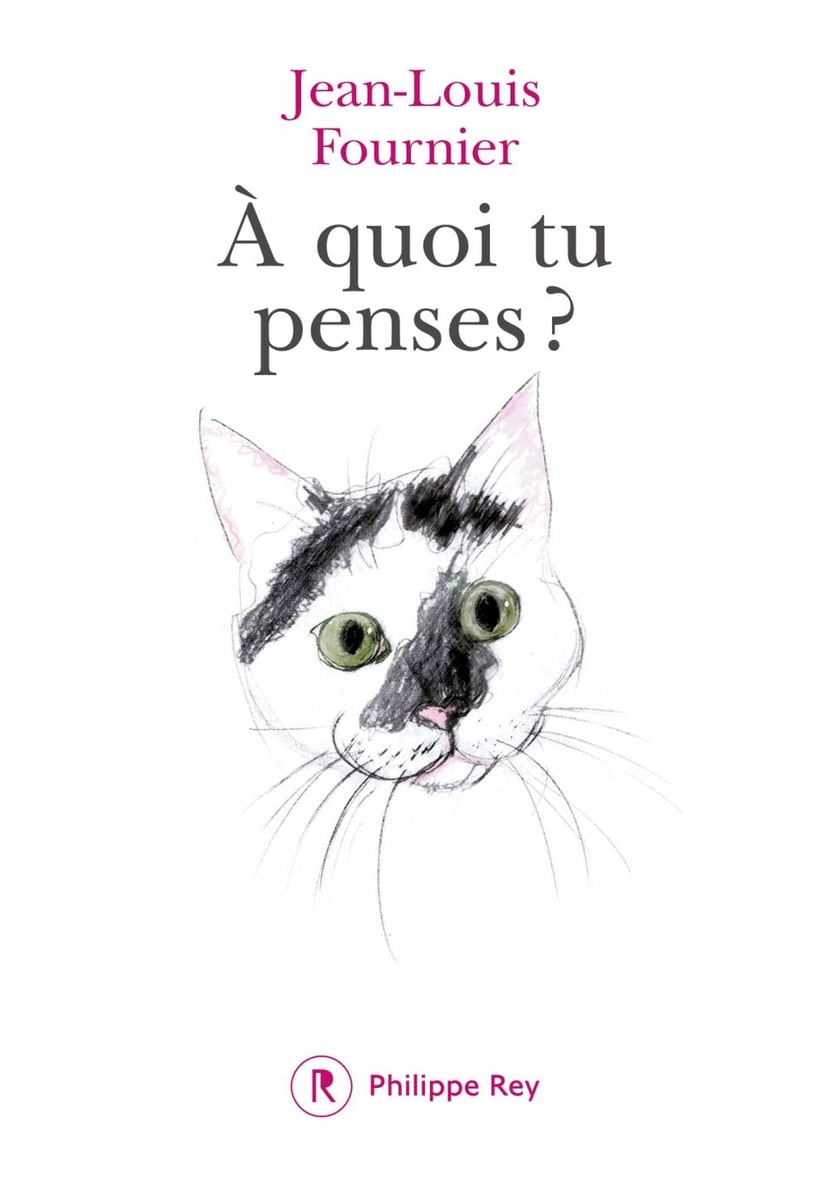 media/pim/0_metadata-image-54272781.jpeg