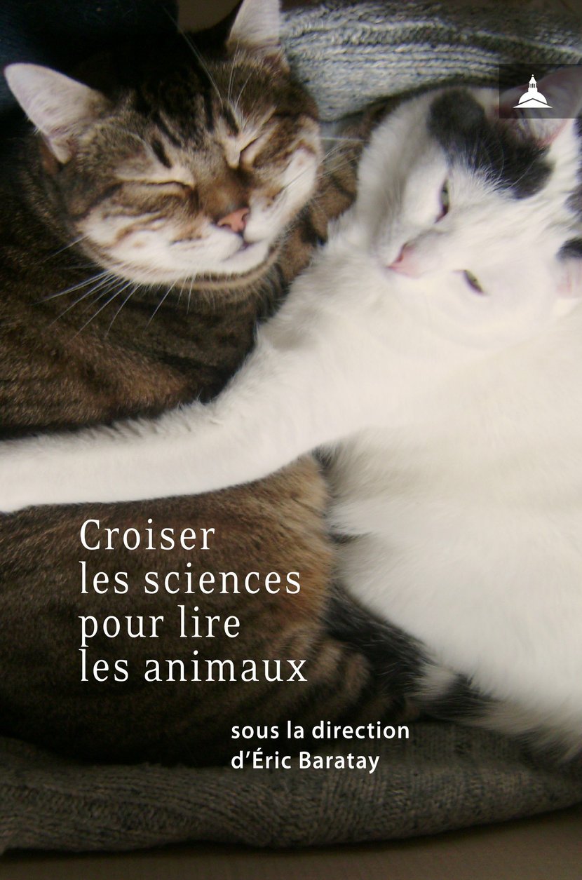media/pim/0_metadata-image-55718223.png