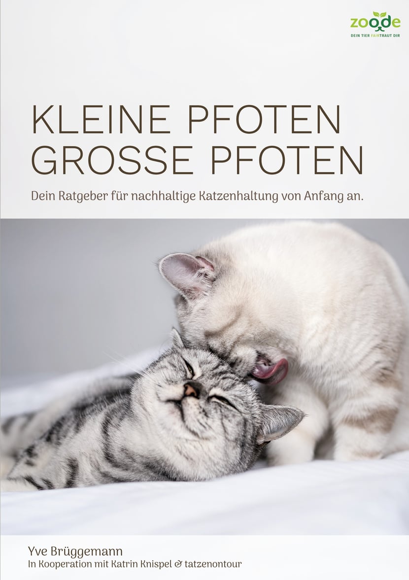 media/pim/0_metadata-image-66437747.jpeg