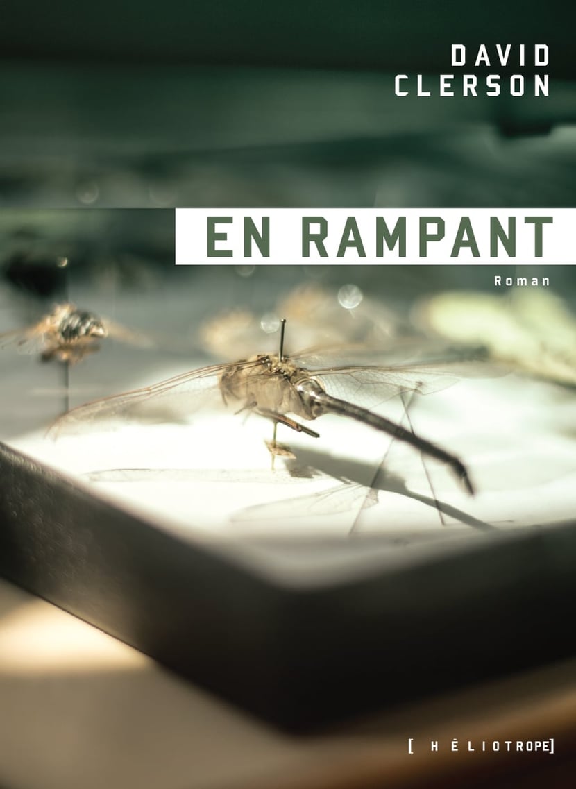 media/pim/0_metadata-image-6647022.jpeg