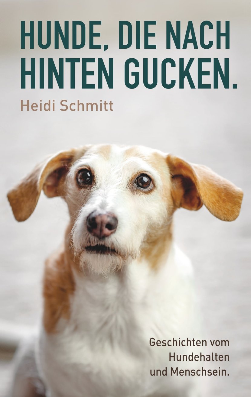 media/pim/0_metadata-image-70978377.jpeg