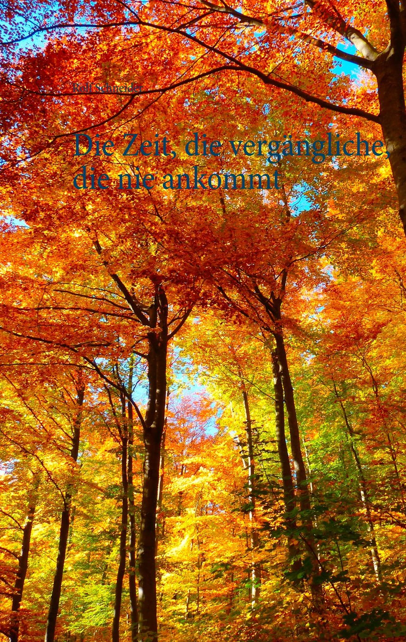 media/pim/0_metadata-image-70992121.jpeg
