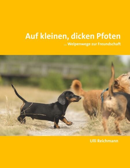 media/pim/0_metadata-image-70992135.jpeg