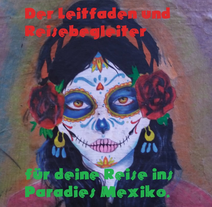 media/pim/0_metadata-image-71001647.jpeg