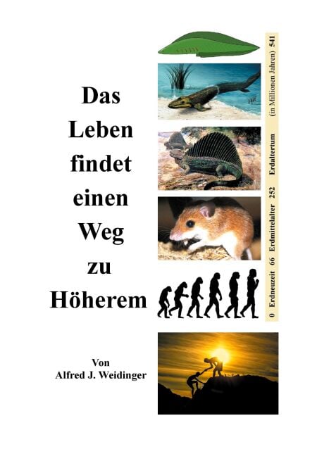 media/pim/0_metadata-image-77956661.jpeg