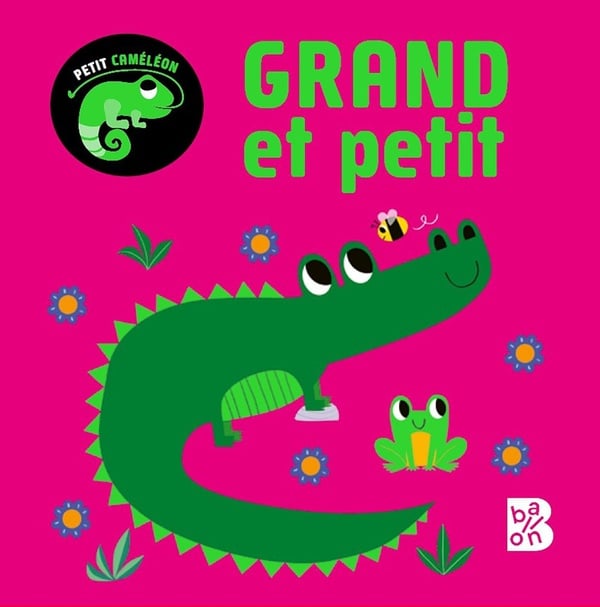 media/pim/10212034_image_type_product_shot_HACHETTE_1_FR