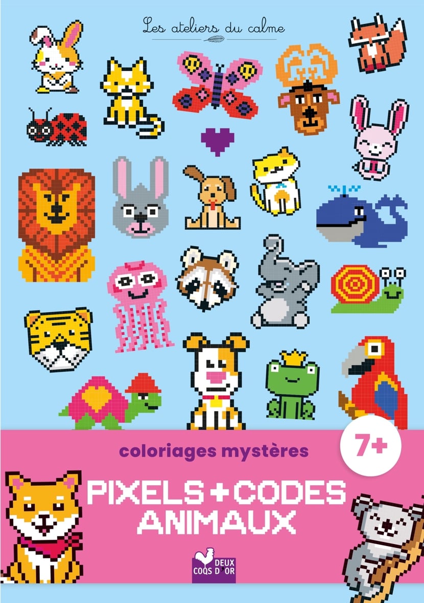 media/pim/10244543_image_type_product_shot_HACHETTE_0_FR_092d0