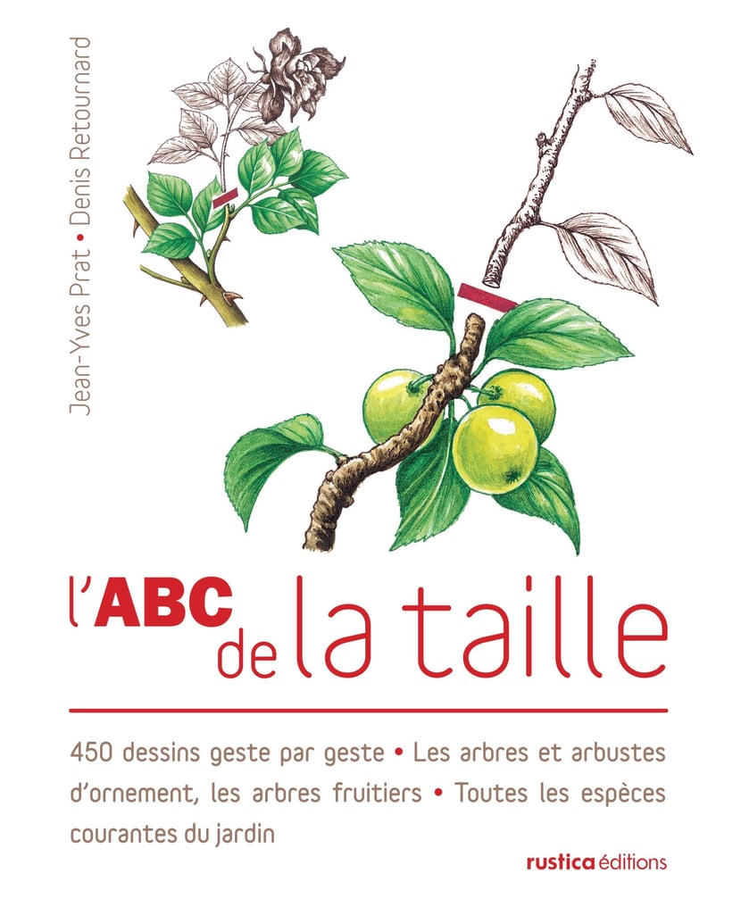 media/pim/1025629_image_type_product_shot_MDS_1_FR_b7f0a