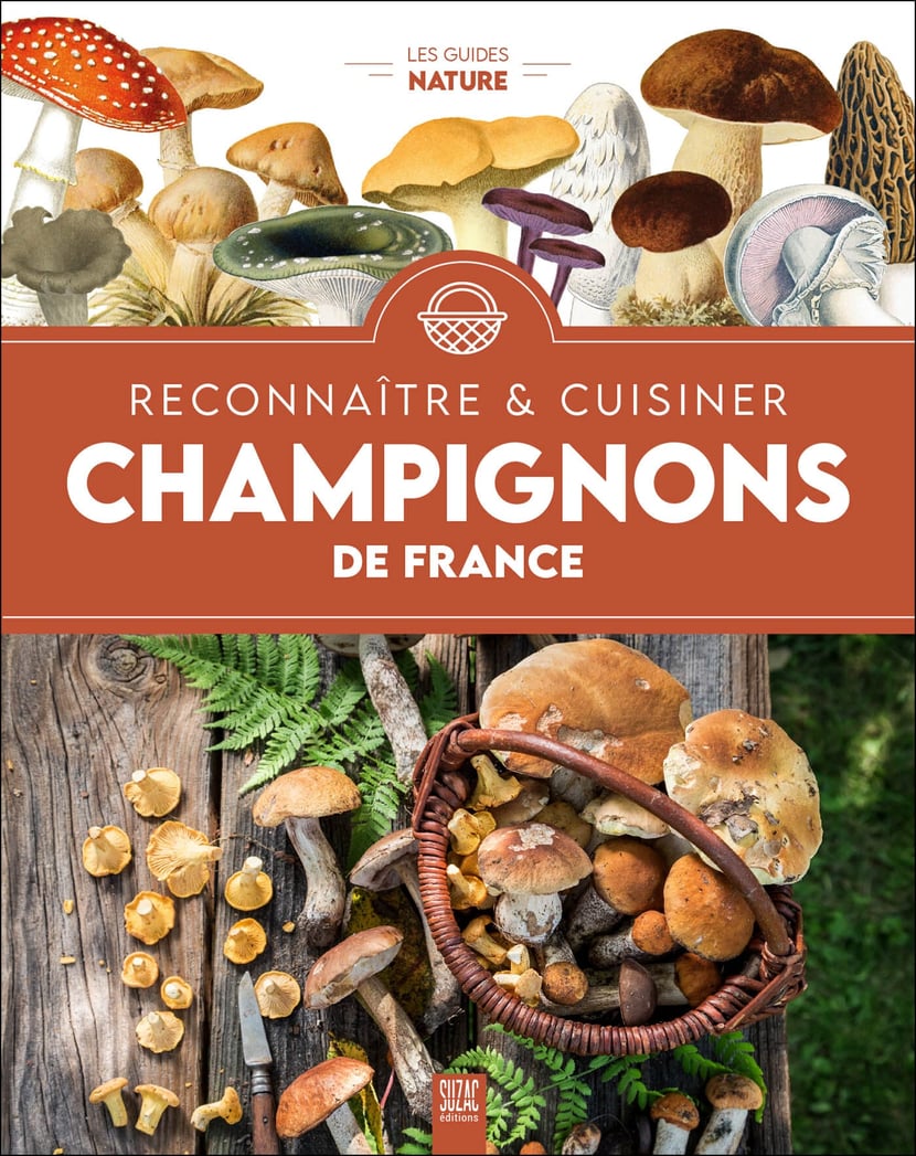 media/pim/10537119_image_type_product_shot_SODIS_1_FR_ce335
